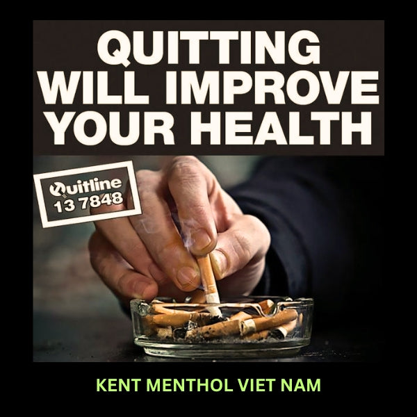 Kent Menthol Switch Viet Nam - 10 Packs (20s)